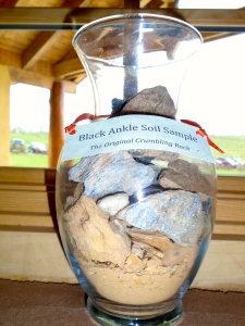 The soil here wouldn't grow anything, they say. Perfect for grapes. A sample of the rocky soil is displayed in the tasting room.